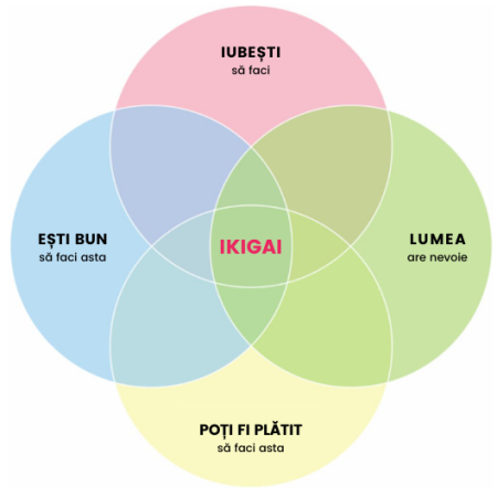 schema ikigai